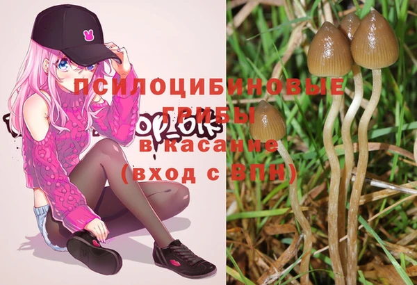 PSILOCYBIN Баксан