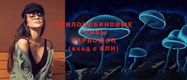 PSILOCYBIN Баксан
