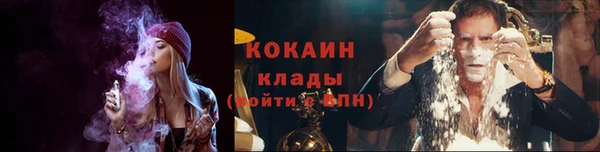 шишки Балабаново