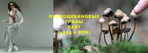 молекула духа Балахна