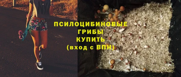 PSILOCYBIN Баксан