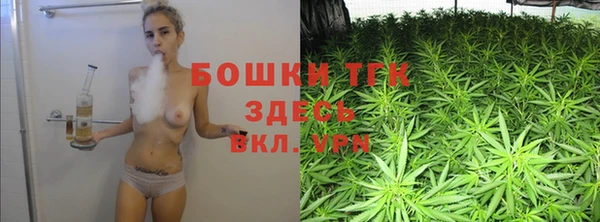 шишки Балабаново