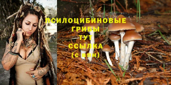 шишки Балабаново