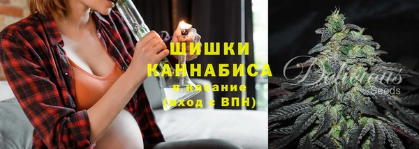 молекула духа Балахна
